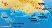 Red Sea Divers International -  Ras Mohamed National Park - PADI Scuba Diving Centres in Sharm el Sheikh
