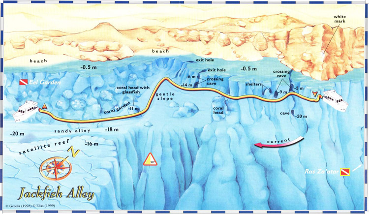 Jackfish Alley Diving Site Map in Ras Mohamed National Park