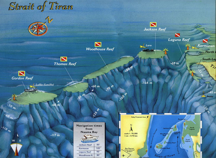 Diving Sites in the Strait of Tiran - Red Sea