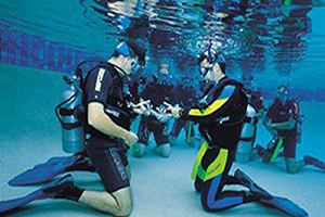 PADI Referral Program’s with Divers International