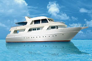 M/Y Diveone Liveaboard Diving Motor Yacht in the South Red Sea Egypt