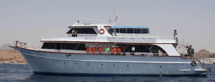 M/Y Donia Diving Liveaboard in Sharm el Sheikh