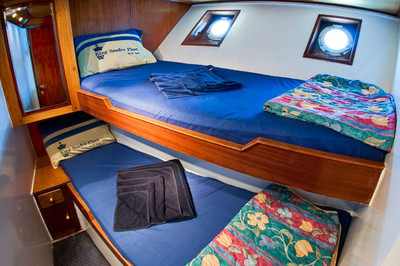 Double Cabin on King Snefro 6 Liveaboad Diving Motor Yacht in Sharm el Sheikh Egypt