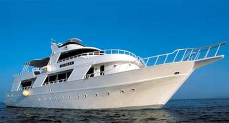 M/Y Samaa Liveaboard Diving Motor Yacht in the South Red Sea Egypt