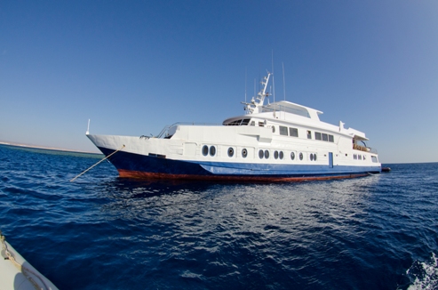 M/Y Sea Queen I Luxury Motor Yacht Diving Liveaboard with Steel Hull in Sharm el Sheikh, Egypt