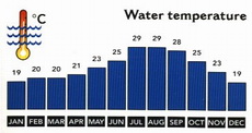 Egypt Weather - Average Monthly Water Temperatures  and Wind Speed in the Red Sea